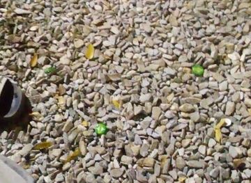 cote-d-ivoire/yamoussoukro/bar/fun-city