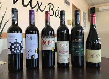 hungary/alfold-great-hungarian-plain/bar/pilvax-bar