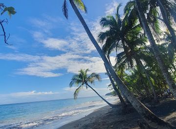 costa-rica/cahuita-national-park/bar/puerto-viejo