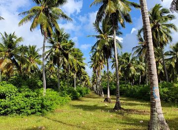 marshall-islands/enewetak-atoll/bar/bikini-atoll