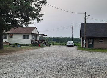 minnesota/lake-of-the-woods/bar/royal-dutchman-resort