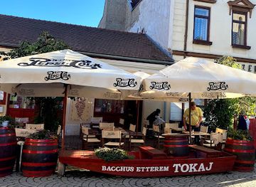 hungary/bodrogkoz/bar/bacchus