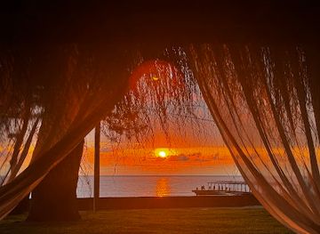 georgia/guria/bar/s-ani-s-bar