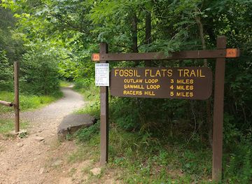 arkansas/devil-s-den-state-park/bar/fossil-flats-trailhead