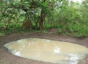 guinea-bissau/cacheu-mangroves-natural-park/bar/o-bistro