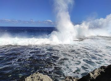 tonga/niuatoputapu-island/bar/mapu-a-vaea-blowholes