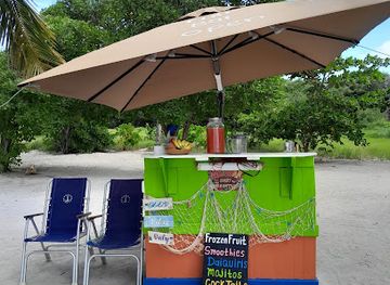 saint-vincent-and-the-grenadines/palm-island/bar/tiki-bar-tobago-cays