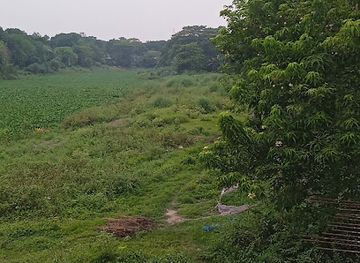 bangladesh/madhupur-tract/bar/mollar-ghat