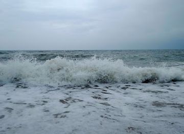 sri-lanka/north-western-province/bar/wine-stors-hettipola