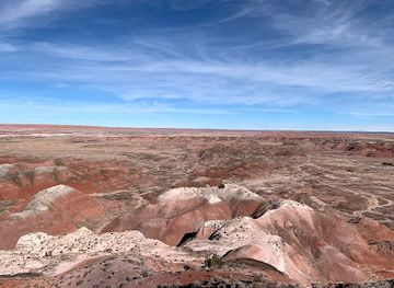 arizona/petrified-forest-national-park/bar/petrified-forest-national-wilderness-area