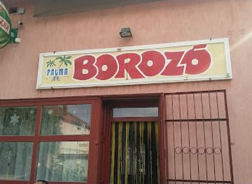 hungary/southern-great-plain/bar/palma-borozo