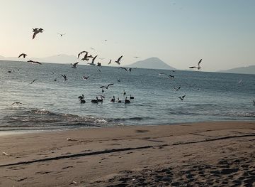 honduras/choluteca-region/bar/el-changarro-bar