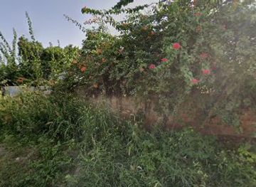 senegal/thies/bar/chez-cero