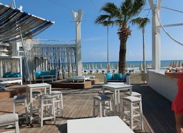 cyprus/larnaca-salt-lake/bar/ammos