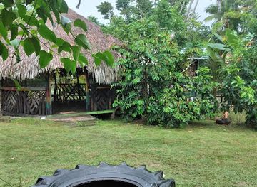 colombia/vaupes-department/bar/isleno-bar