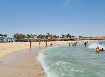 egypt/marsa-alam/bar/malikia-resort-pool-bar