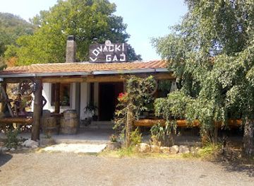 montenegro/savnik/bar/lovacki-gaj