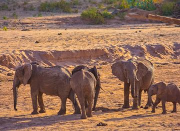 kenya/samburu-region/bar/kalama-community-conservancy