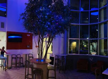 florida/orlando-theme-parks-area/bar/the-oliv-bar