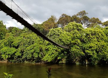 brunei/belalong-canopy-walkway/bar/freme-rainforest-lodge