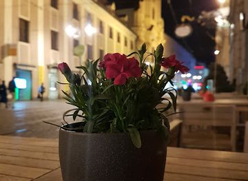 austria/upper-austria/bar/masq-linz