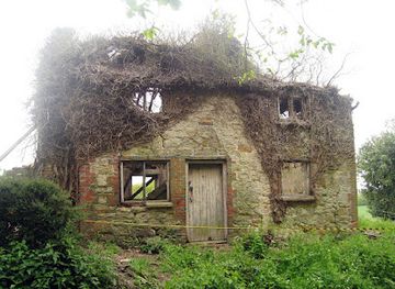 india/kochi/mattancherry/bar/streetwok-restaurant