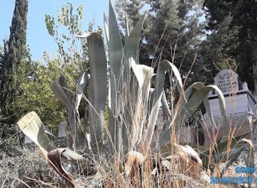 aruba/san-nicolas/bar/papa-cigar-bar