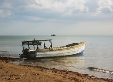 jamaica/pedro-plains/bar/basil-s-beach-bar