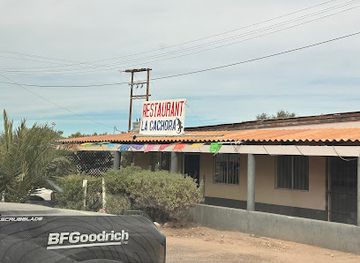 mexico/mulege/bar/restaurant-la-cachora