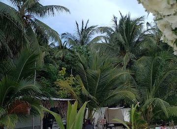 colombia/san-andres-island/bar/the-madguana-beach