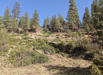 arizona/kaibab-national-forest/bar/kaibab-plateau