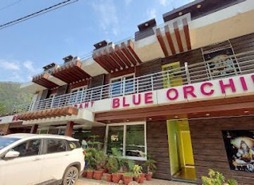 india/chopta/bar/blue-orchid-hotel-and-restaurant