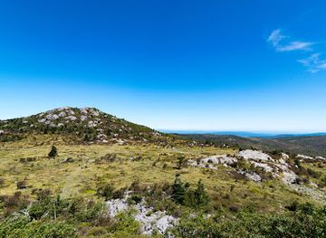 virginia/mount-rogers-national-recreation-area/bar/mount-rogers-national-recreation-area