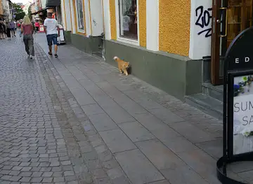 Ågatan Bar