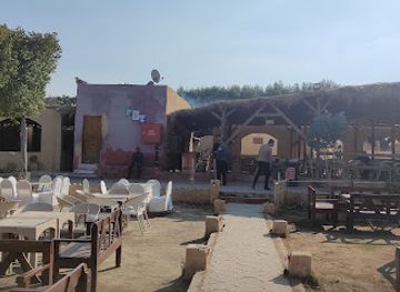 egypt/faiyum-oasis/bar/tunis-house