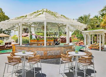 qatar/al-daayen/bar/flamingos