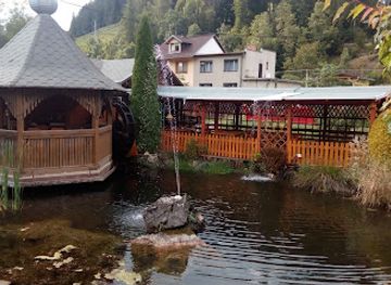 slovakia/spis/bar/penzion-kralov-pramen