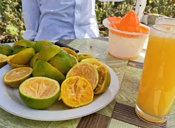 Lamin's Juice Bar
