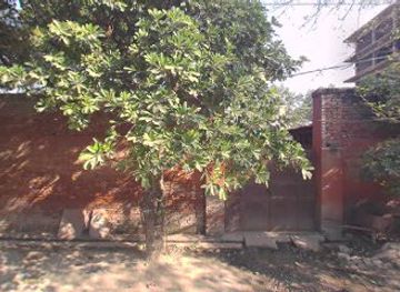 india/agra/rakabganj/bar/tourist-bar-and-restaurant