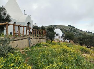 jordan/ajloun-forest-reserve/bar/ajloun-rural-tourist-huts-and-restaurant