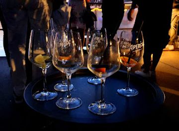 austria/vorarlberg/bar/fischersteg-sunset-bar-bregenz