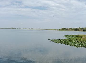 colombia/sucre-department/bar/pausa-beer