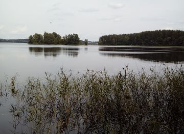 lithuania/utena/bar/visis