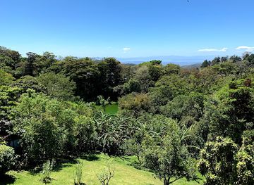 costa-rica/monteverde-cloud-forest-biological-reserve/bar/celajes-restaurant-monteverde