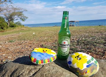 jamaica/st-thomas-lowlands/bar/the-longboarder-bar-grill