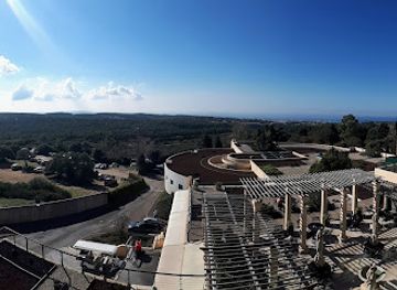 israel/jordan-valley/bar/jasper-04