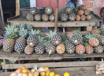 madagascar/antsiranana/bar/epibuvette-jupiter