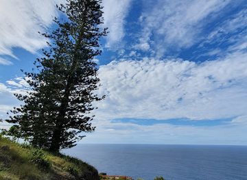 norfolk-island/selwyn-reserve/bar/norfolk-island-national-park