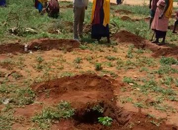 tanzania/tarangire-national-park/bar/pili-bar