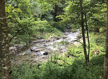 romania/transfagarasan-highway/bar/terasa